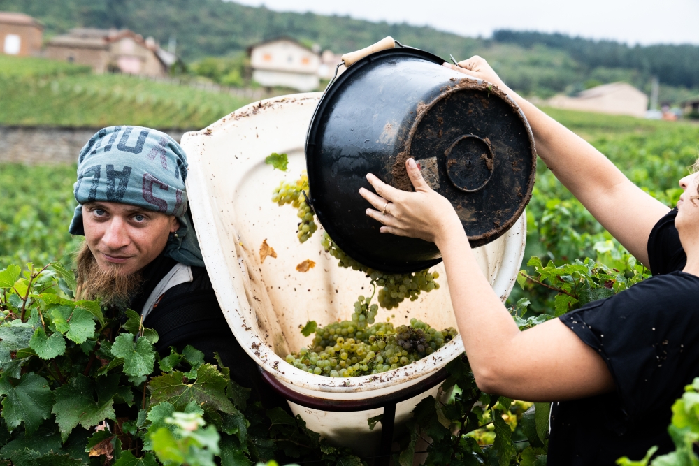 LASSARAT092023 @leboncliche-31 (1)