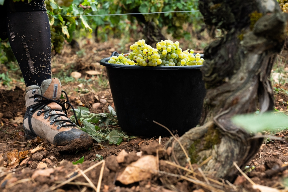 LASSARAT092023 @leboncliche-36 (1)