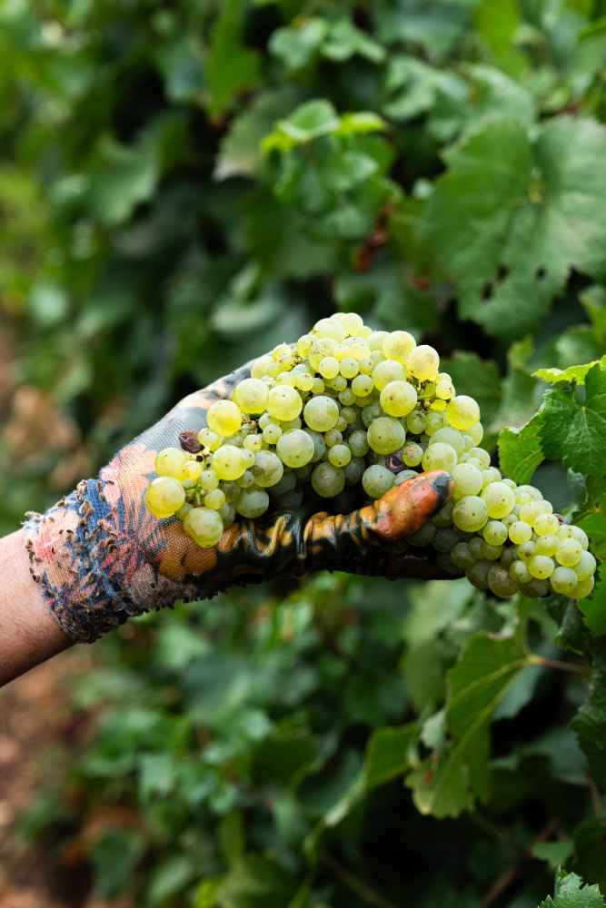 LASSARAT092023 @leboncliche-41