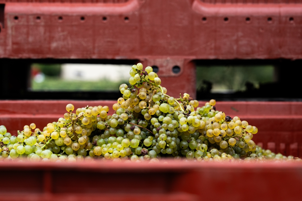 LASSARAT092023 @leboncliche-49