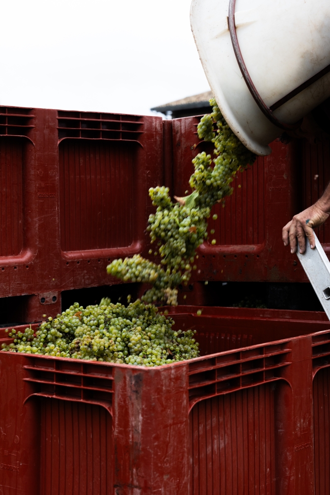 LASSARAT092023 @leboncliche-50 (1)