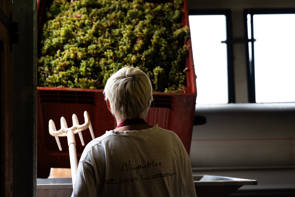 LASSARAT092023 @leboncliche-70 (1) (1)