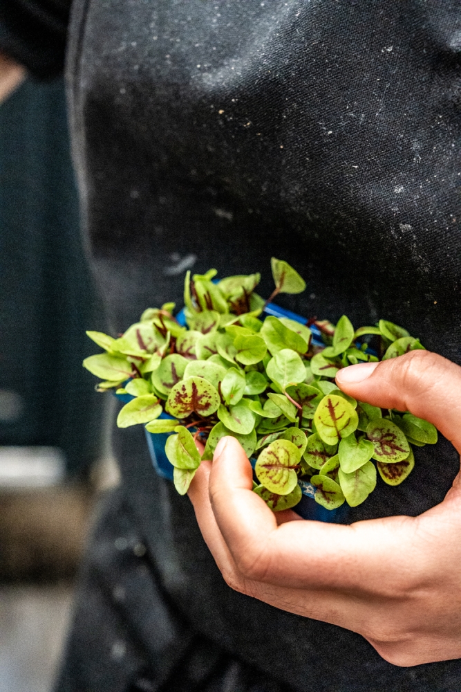 LESINFIDELES042024 @leboncliche-38