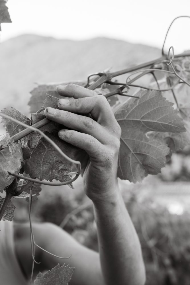 MAISONBONNARD 062025 @leboncliche-28