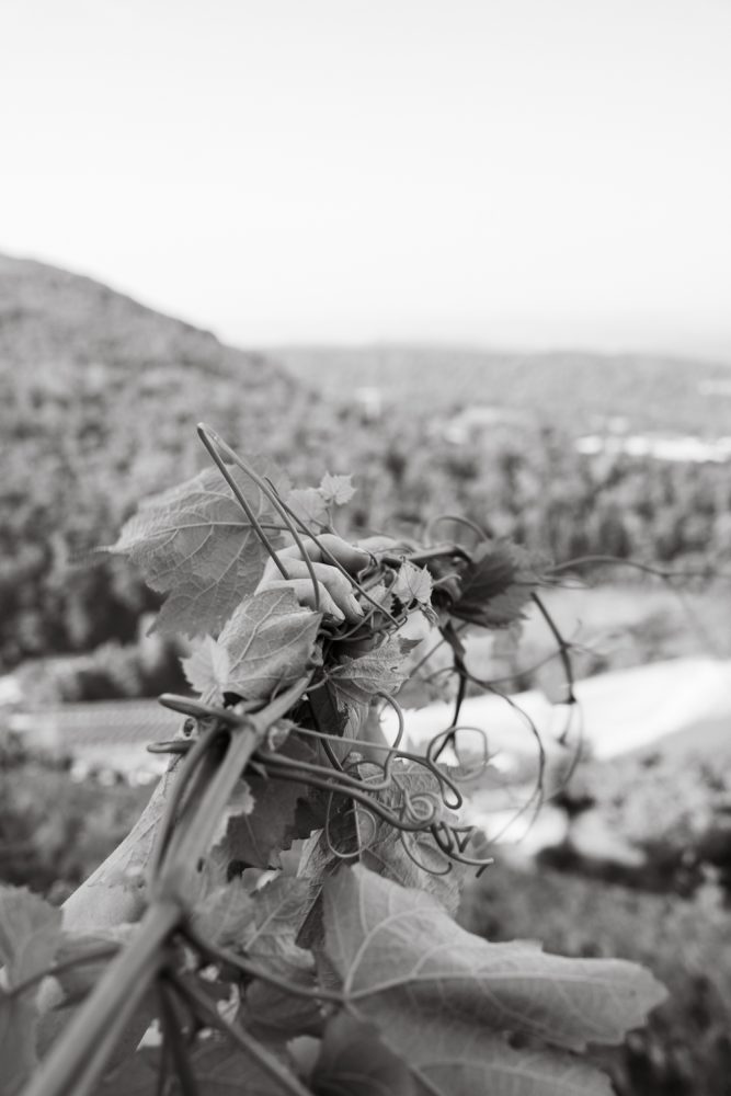 MAISONBONNARD 062025 @leboncliche-31