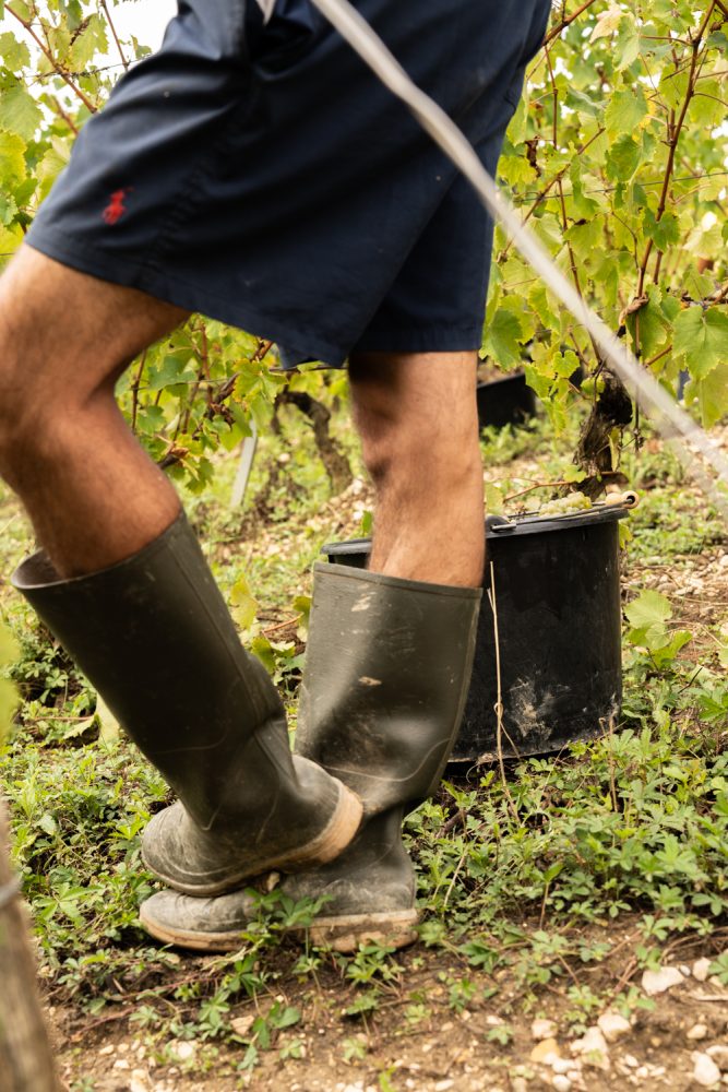 MAISONBONNARD 092025 @leboncliche-20