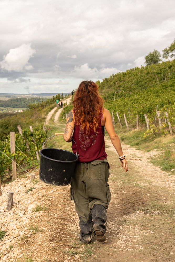 MAISONBONNARD 092025 @leboncliche-33