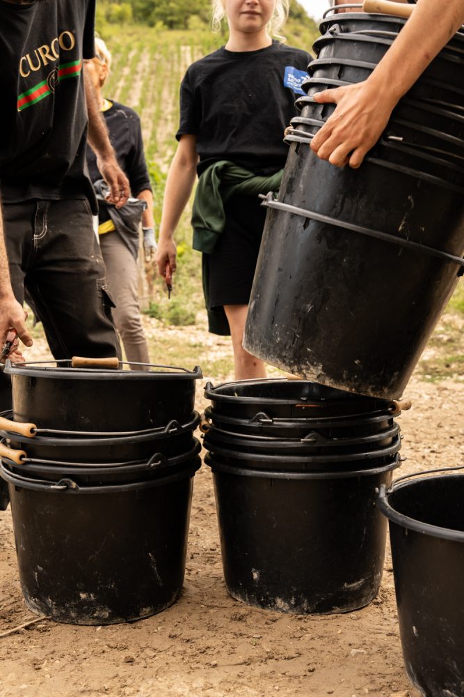 MAISONBONNARD 092025 @leboncliche-73