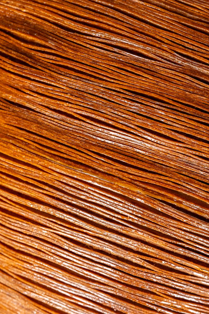 MAISONTERRASSON112025 @leboncliche-45