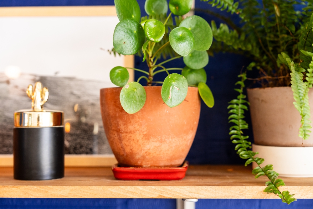 MUMDAD082023 @leboncliche-17