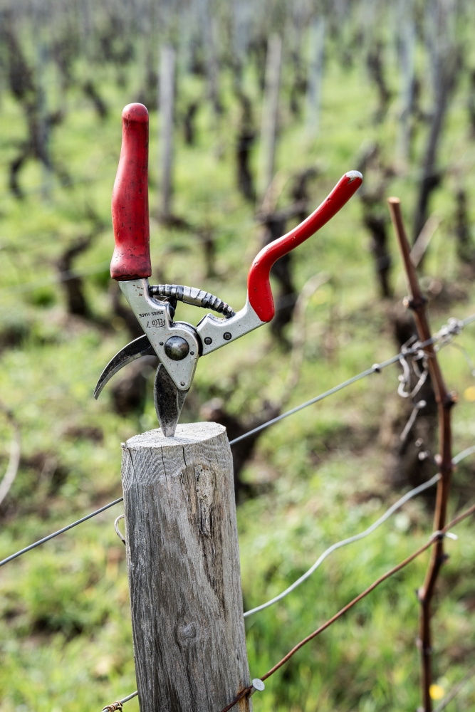 ODGPOUILLYFUISSE032024 @leboncliche-32