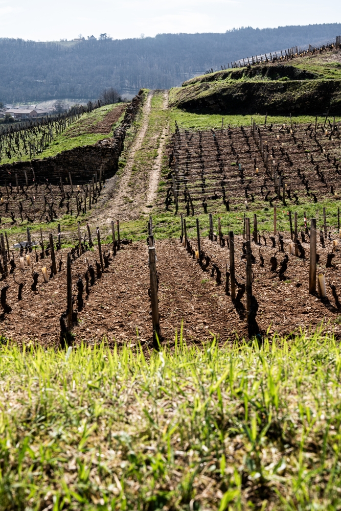 ODGPOUILLYFUISSE032024 @leboncliche-33