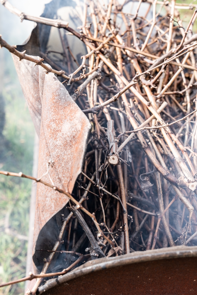 ODGPOUILLYFUISSE032024 @leboncliche-42