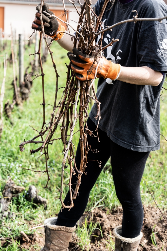 ODGPOUILLYFUISSE032024 @leboncliche-51