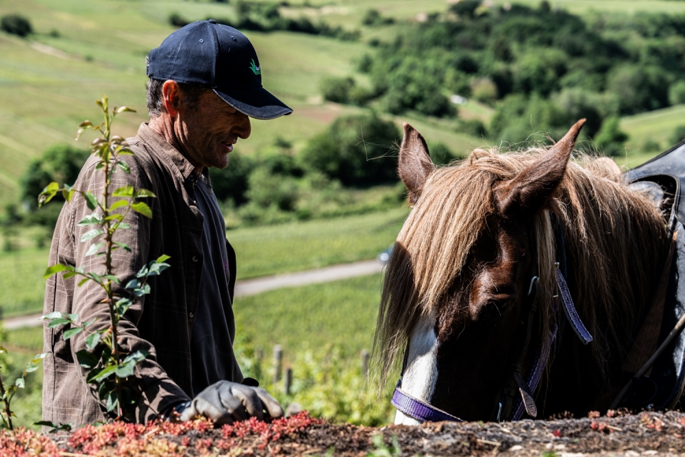 ODGPOUILLYFUISSE052024 @leboncliche-36