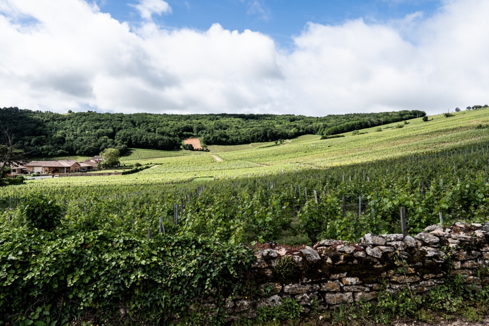 ODGPOUILLYFUISSE052024 @leboncliche-8