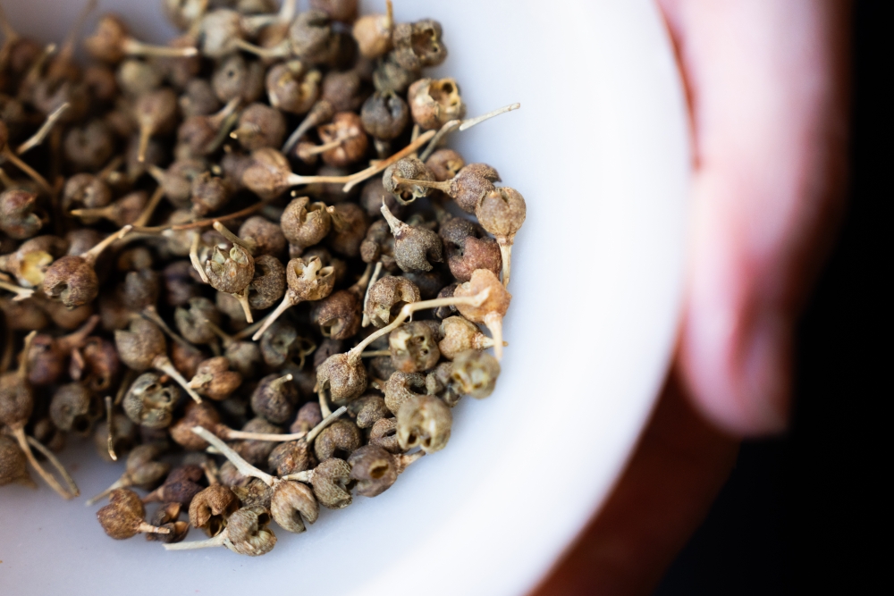 PAULINELEGAL1123 @leboncliche-10