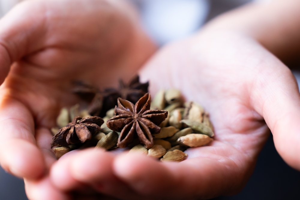 PAULINELEGAL1123 @leboncliche-12