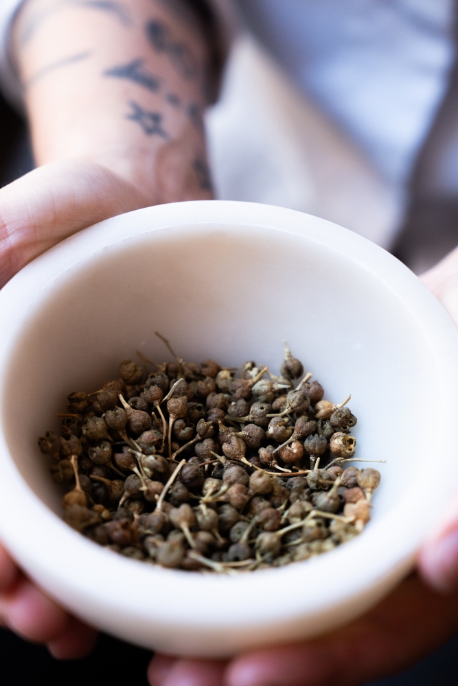 PAULINELEGAL1123 @leboncliche-9