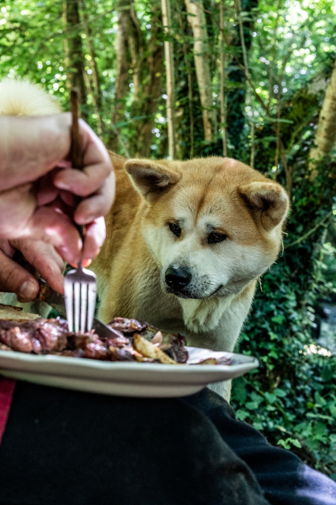 PIERREREURE062024 @leboncliche-109