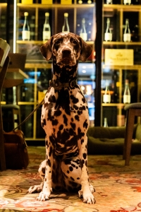 PLETHOREBALTHAZAR062024 @leboncliche-117