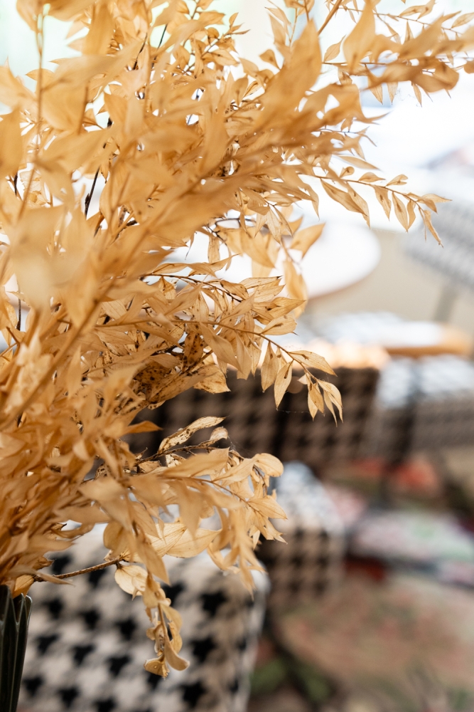 PLETHOREBALTHAZAR062024 @leboncliche-3