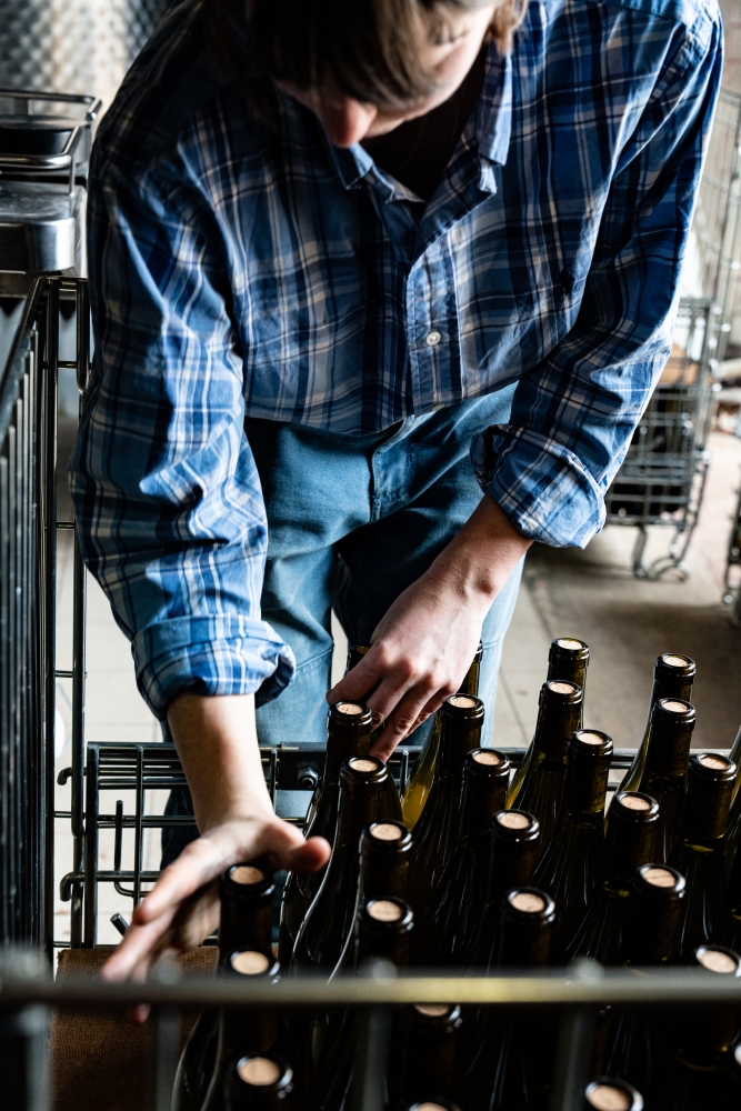 DOMAINE ROBERT DENOGENT