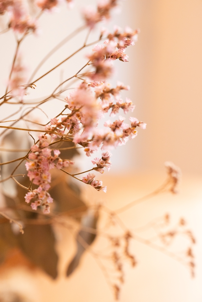 SEPIAINTERIEUR102023 @lebonclichePIGNON-16