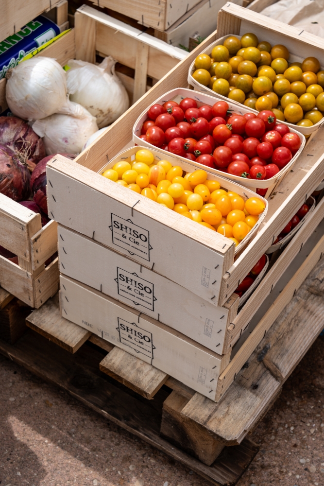 TOURDESTERROIRS072024 @leboncliche-6